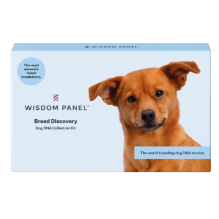 Wisdom Panel™ Breed Discovery test kit