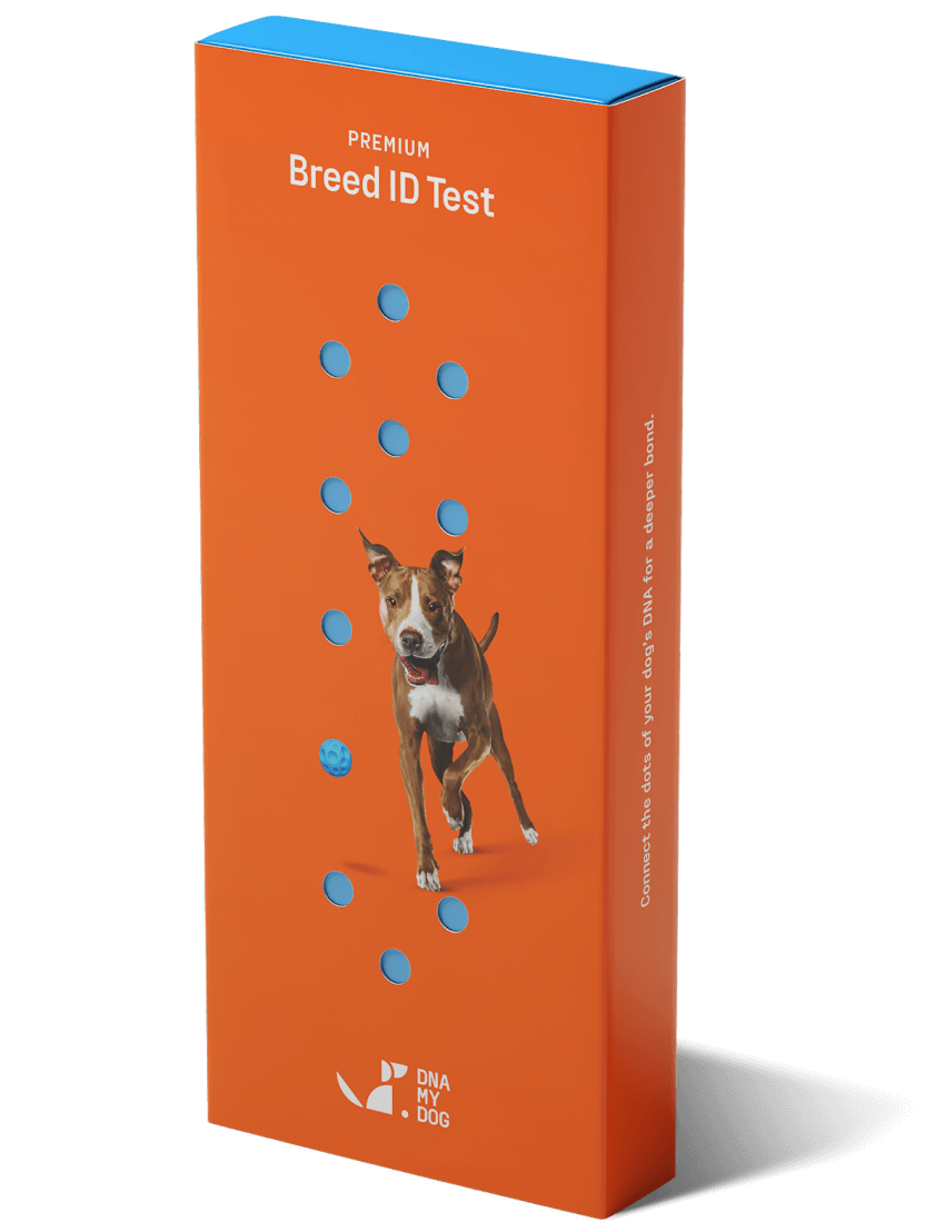 The Best Dog DNA Tests of 2024 The Pet Picks