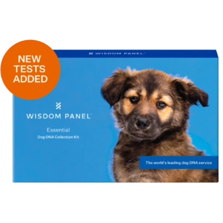 wisdom panel essential dog dna test kit