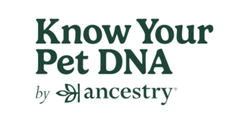 ancestry new logo header