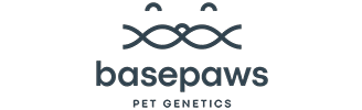 Basepaws Logo