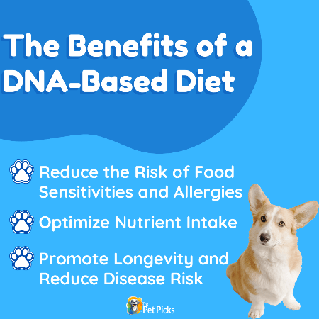 The Benefits of a DNA-Based Diet