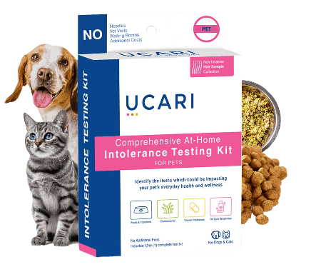 ucari pet dna test