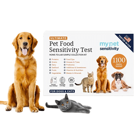 ultimate food sensitivity test