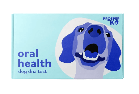 prosperk9 Oral Health Test