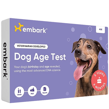Embark Dog Age Test