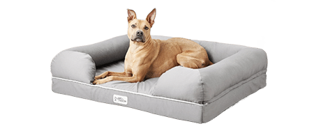 PetFusion Ultimate Lounge Memory Foam Bolster