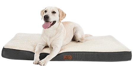 Bedsure Orthopedic Waterproof Dog Bed