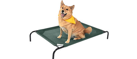 Coolaroo Gale Pacific The Original Cooling Elevated Dog Bed