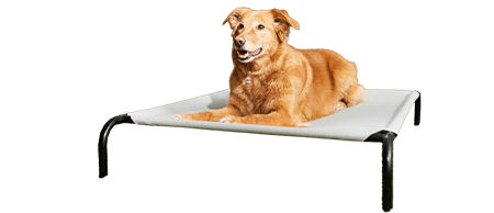 Frisco Steel-Framed Elevated Dog Bed