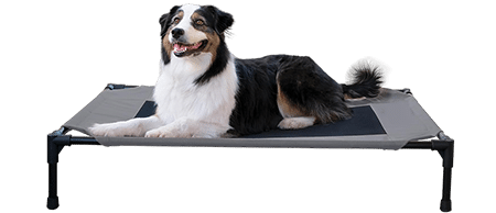 K&H Pet Products Original Steel Frame Pet Cot Elevated Dog Bed
