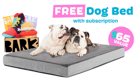 bark platform bed