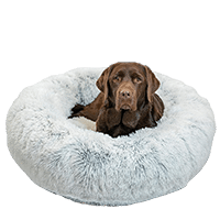 Best Friends by Sheri Original Calming Dog Bed