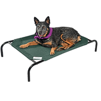 Coolaroo Steel-Framed Elevated Dog Bed