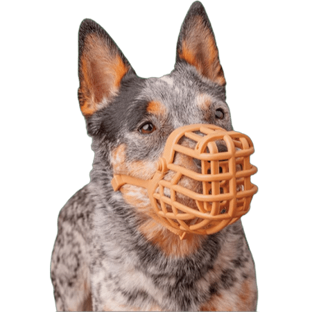 Baskerville Classic Basket Muzzle, Tan