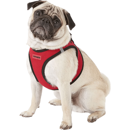 Best Pet Supplies Voyager Black Trim Mesh Dog Harness