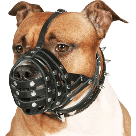 CollarDirect Leather Basket Dog Muzzle
