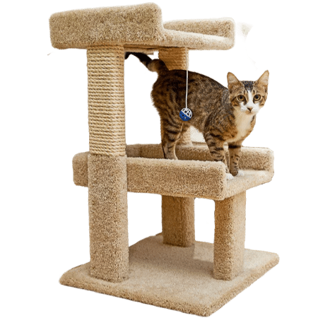 Frisco 32-in Real Carpet Wooden Cat Tree with Toy
