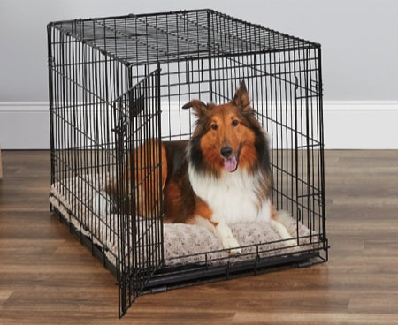 MidWest iCrate Fold & Carry Single Door Collapsible Wire Dog Crate