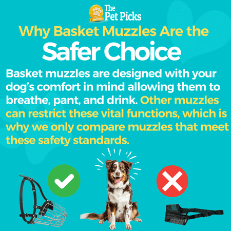 Why Basket Muzzles Are the Safer Choice