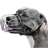 BRONZEDOG Adjustable Leather Strap Basket Muzzle for Large Dogs, Steel