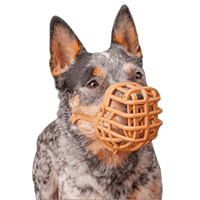 Baskerville Classic Basket Muzzle