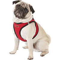 Best Pet Supplies Voyager Black Trim Mesh Dog Harness