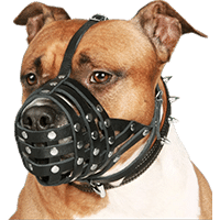 CollarDirect Leather Basket Dog Muzzle