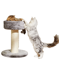 Frisco 24.8-in Heavy Duty Faux Fur Cat Tree