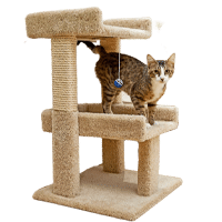 Frisco 32-in Real Carpet Wooden Cat Tree