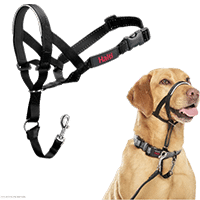 Halti Nylon Padded No Pull Dog Headcollar
