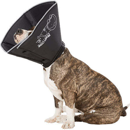 All Four Paws Comfy Cone E-Collar for Dogs
