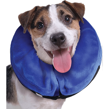 KONG Cloud Collar for Dogs