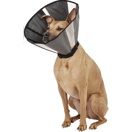 ZenPet ZenCone Soft Recovery Dog & Cat Collar