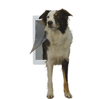 Ideal Pet Products Designer Series Original Plastic Pet Door
