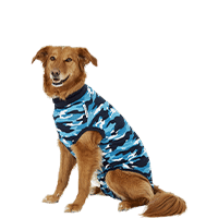 Suitical Recovery Suit for Dogs