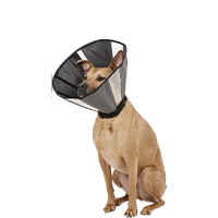 ZenPet ZenCone Soft Recovery Dog & Cat Collar