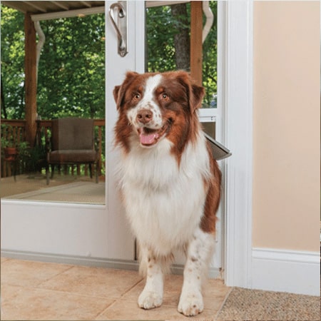 PetSafe Sliding 81-in Glass Pet Door