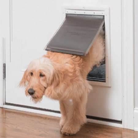 PetSafe Extreme Weather Energy Efficient Pet Door