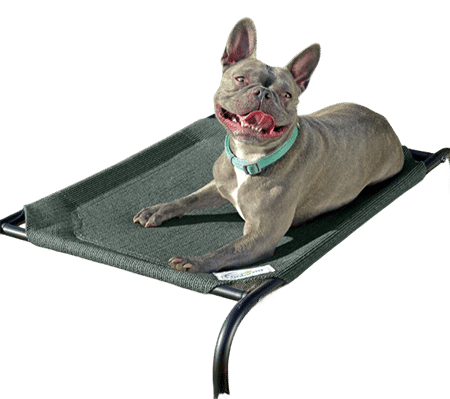 Small Coolaroo Steel-Framed Elevated Dog Bed
