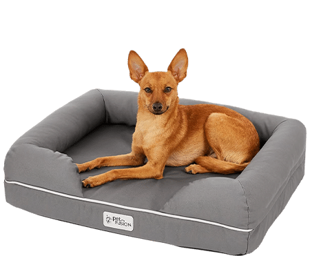 Small PetFusion Ultimate Lounge Memory Foam Bolster Dog Bed