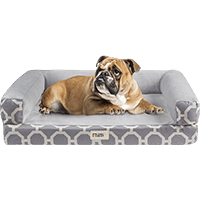 Friends Forever Harper Orthopedic Couch Bolster Sofa with Removable Cover Dog Bed