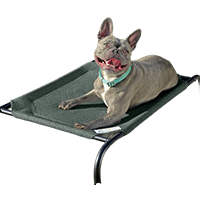 Coolaroo Steel-Framed Elevated Dog Bed