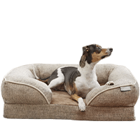 Frisco Plush Orthopedic Front Bolster Dog Bed