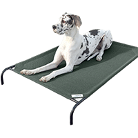 Coolaroo Steel-Framed Elevated Dog Bed