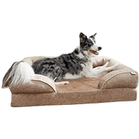 Frisco Plush Orthopedic Front Bolster Dog Bed
