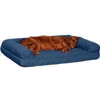 FurHaven Quilted Orthopedic Sofa Dog Bed