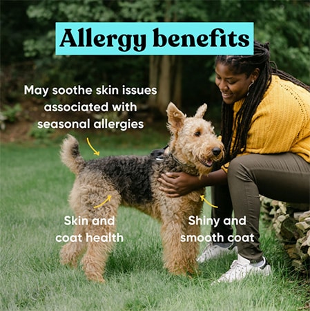 embark allergy supplement benefits