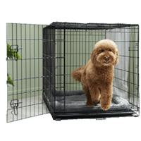Frisco Fold & Carry Single Door Collapsible Wire Dog Crate