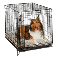 MidWest iCrate Fold & Carry Single Door Collapsible Wire Dog Crate